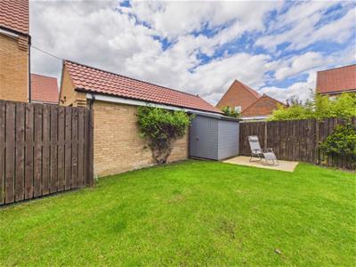 Picture 13